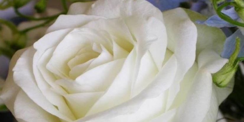 rfnawab's profile banner image