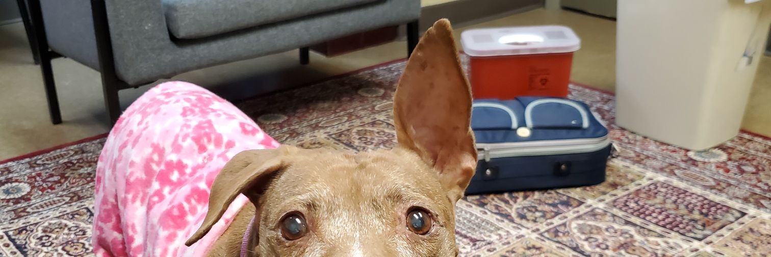 Leslie Barnhill banner