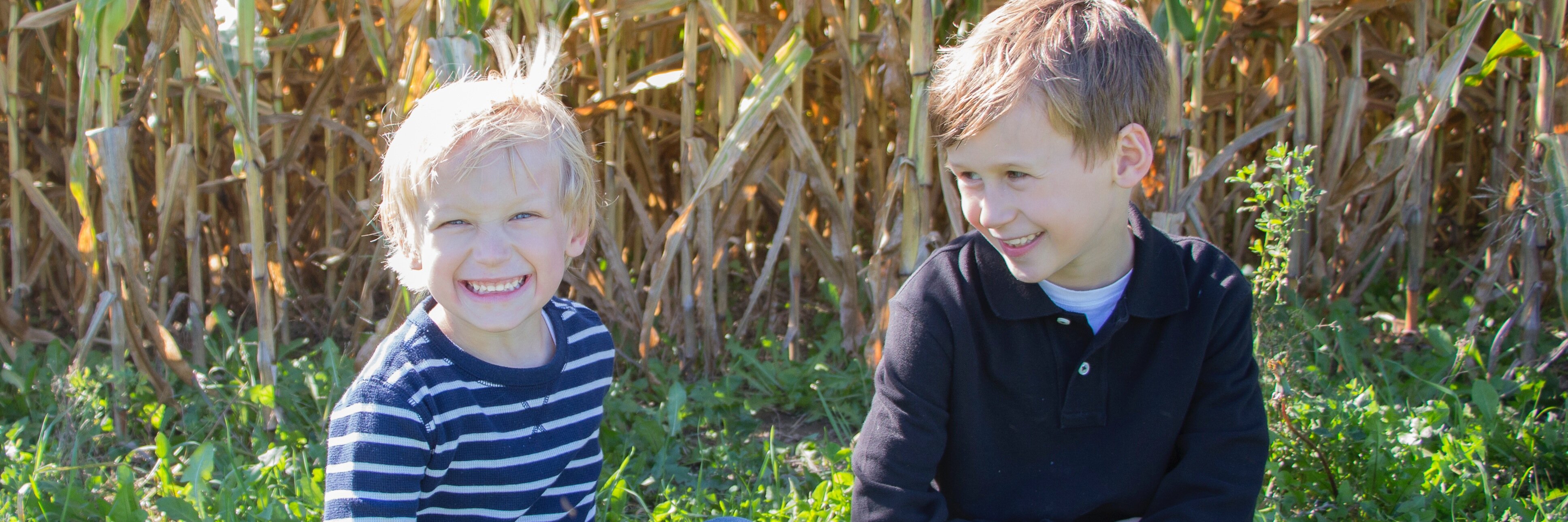 heatherdodgson's profile banner image