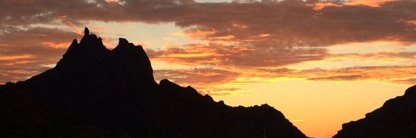 alinacameron02 Profile Banner