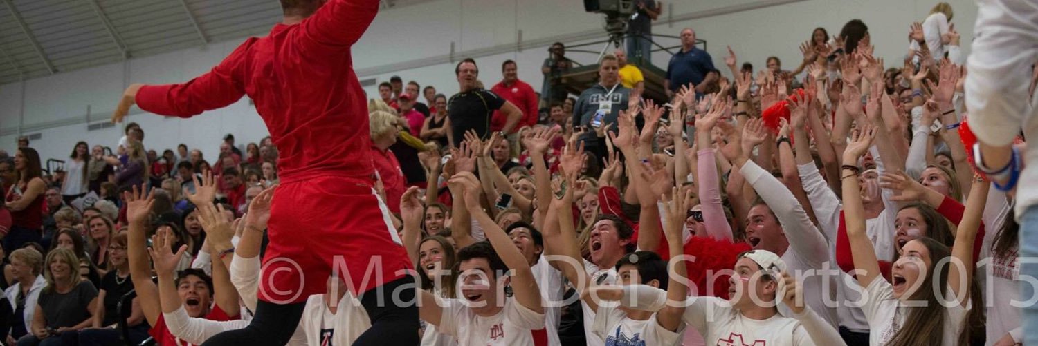 The Den banner
