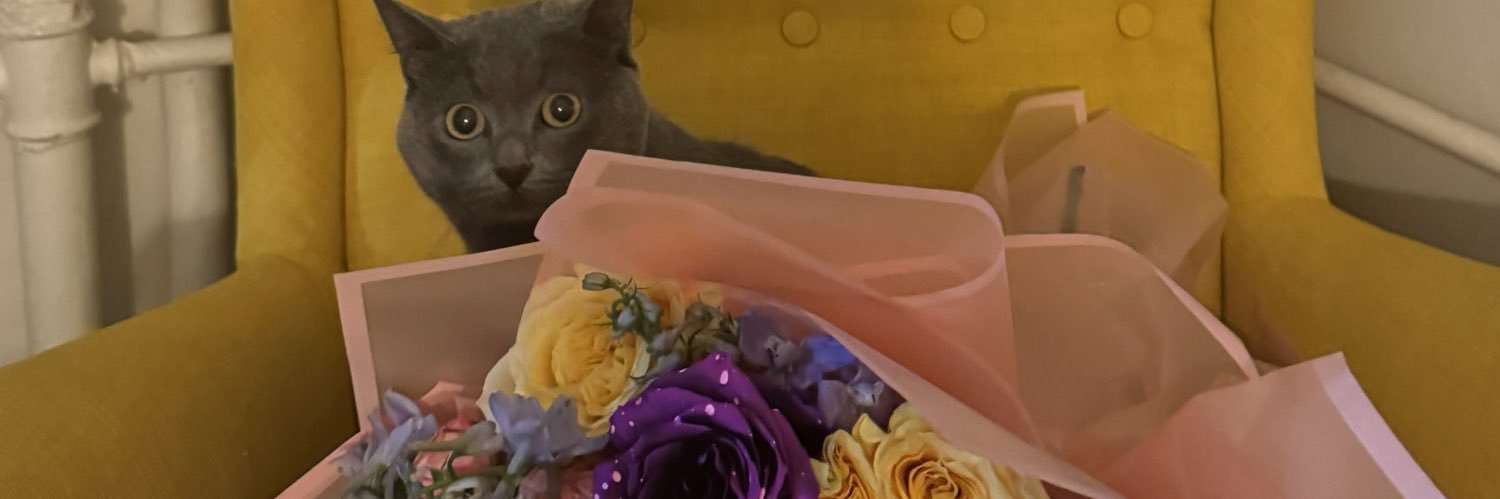 gamzekzll's profile banner image