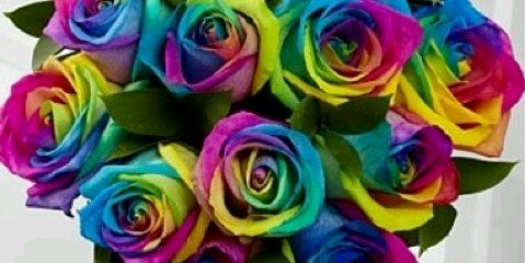 Rcklavril's profile banner image