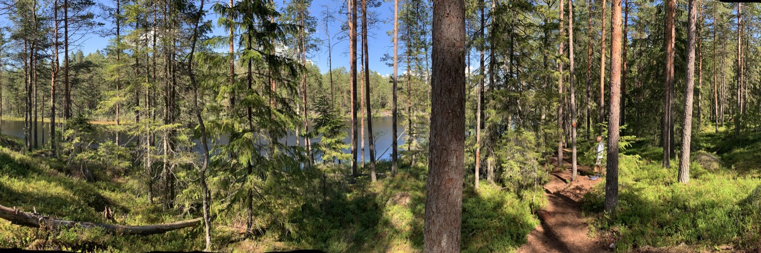 SweetFinland's profile banner image