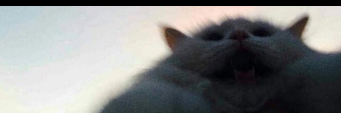 HegeRH's profile banner image