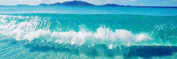 Markelle_MT's profile banner image