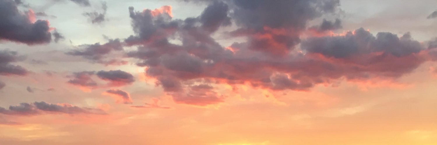 haliebuonomo's profile banner image