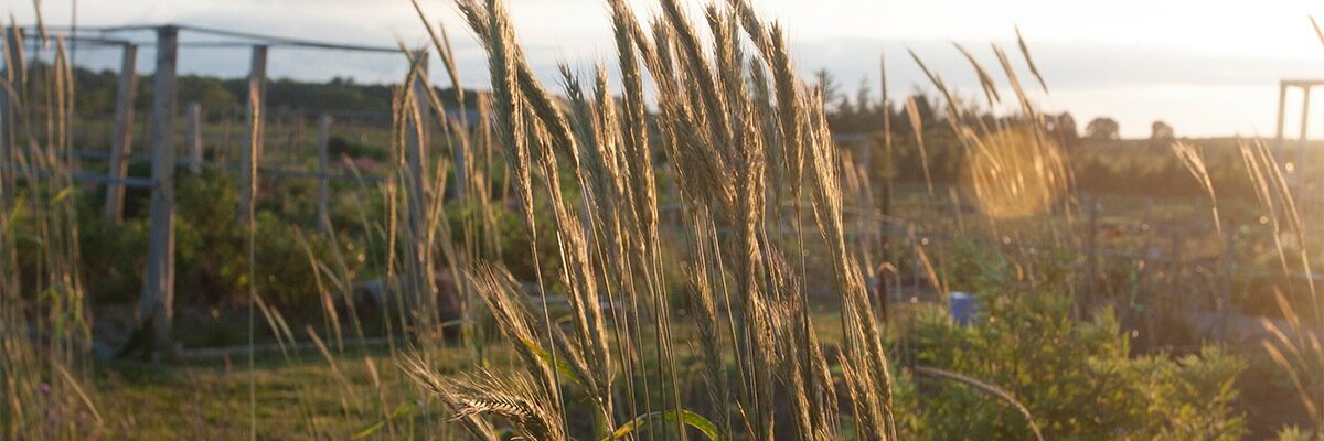 EECOFarm's profile banner image