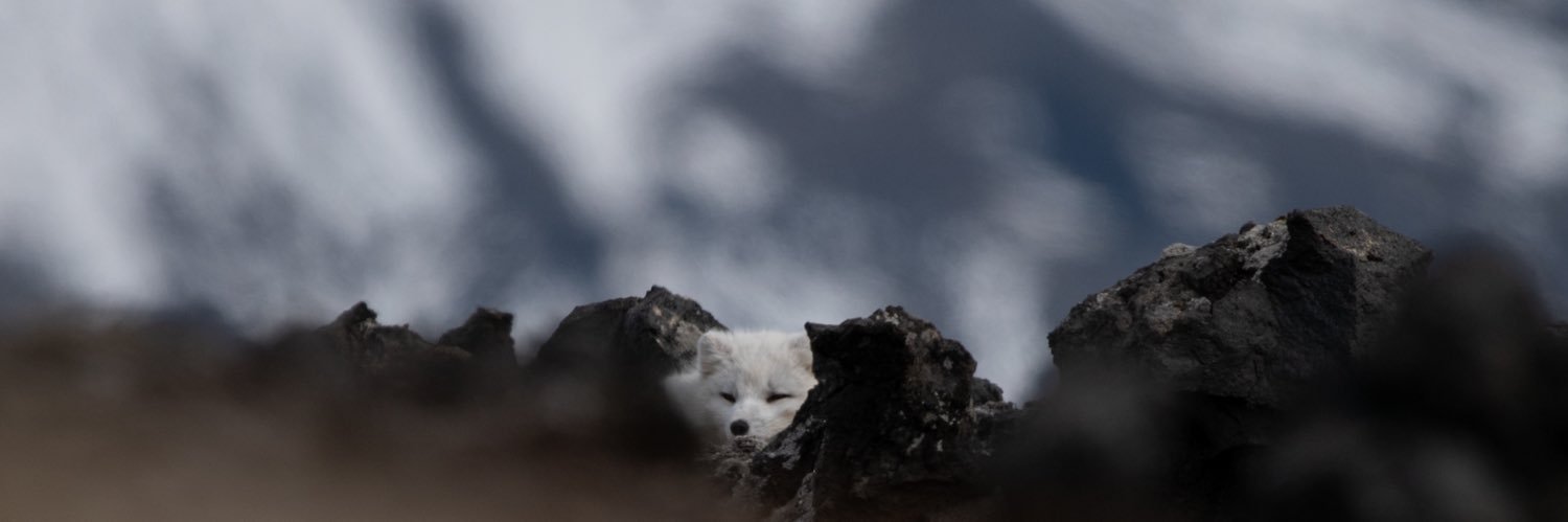 MattmgCole's profile banner image