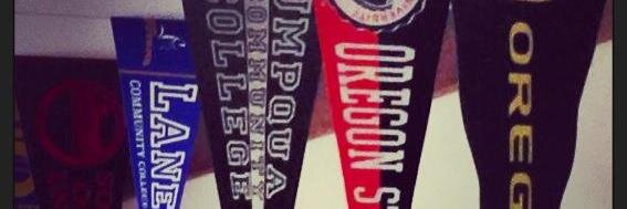 Sen. Floyd Prozanski banner