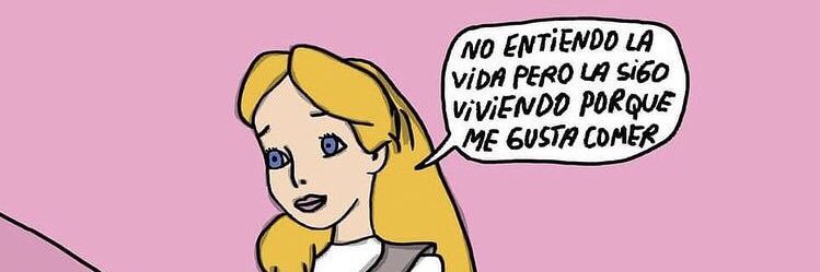 Maria José 🌻 banner