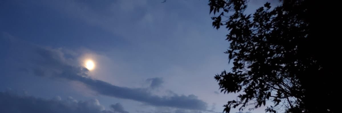 KimberleeWagner's profile banner image