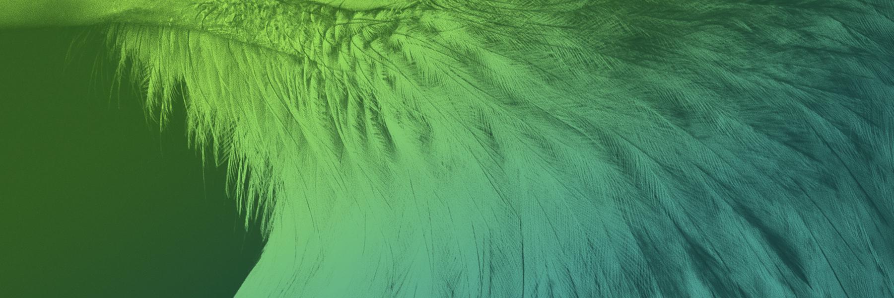ClusterHQ banner
