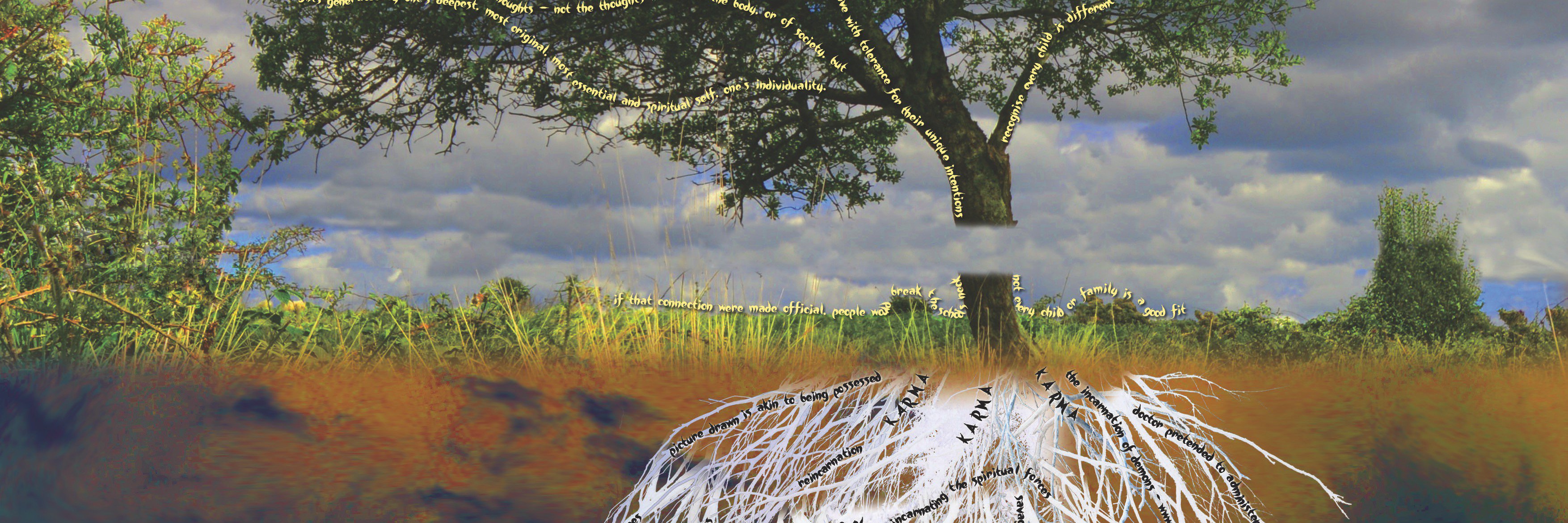 steinermentary's profile banner image