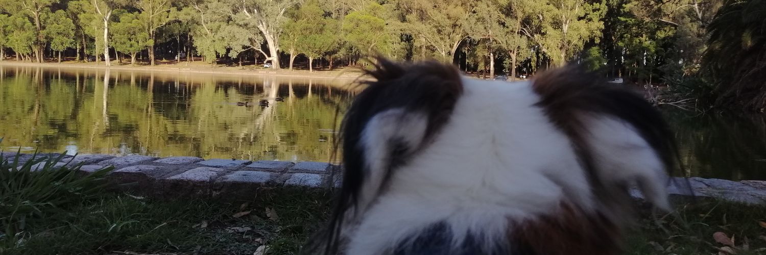 VVarberd's profile banner image