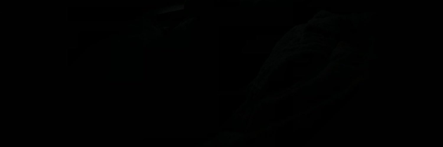jadepesente's profile banner image