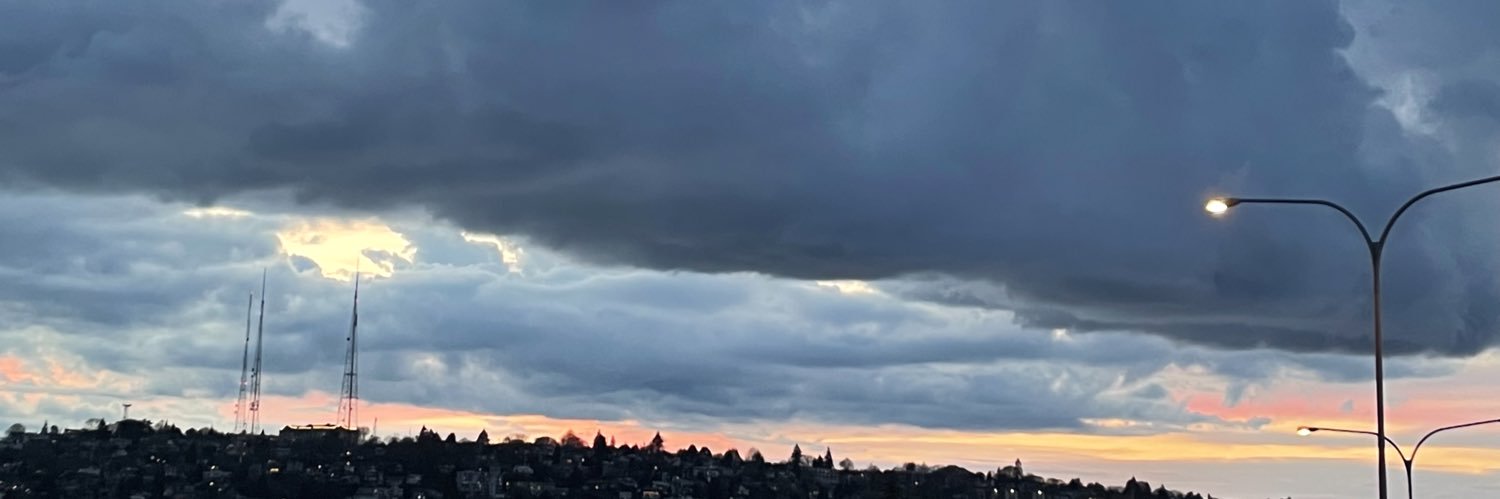 selengulerim's profile banner image