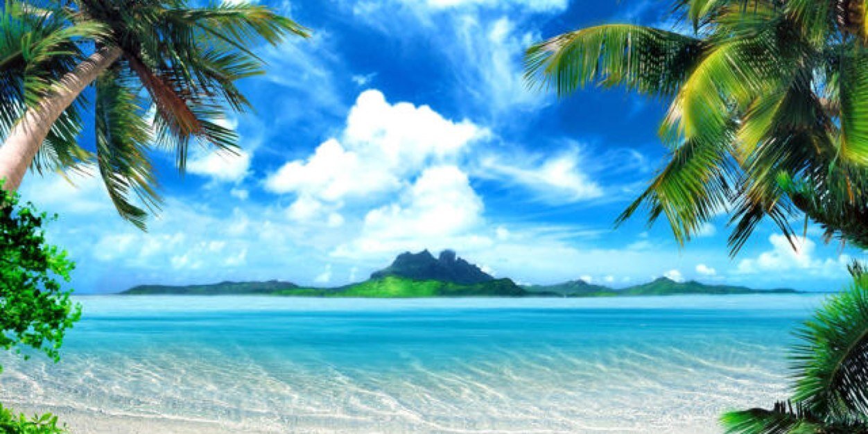 Nikki Smith banner