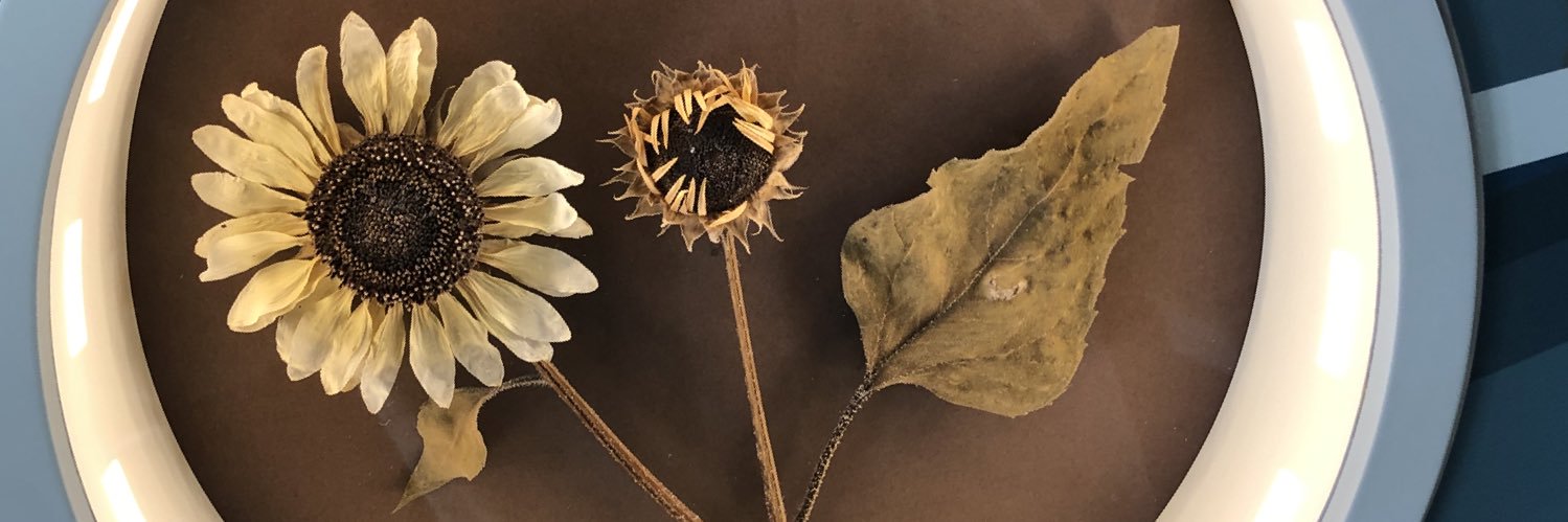 canisleepmore's profile banner image