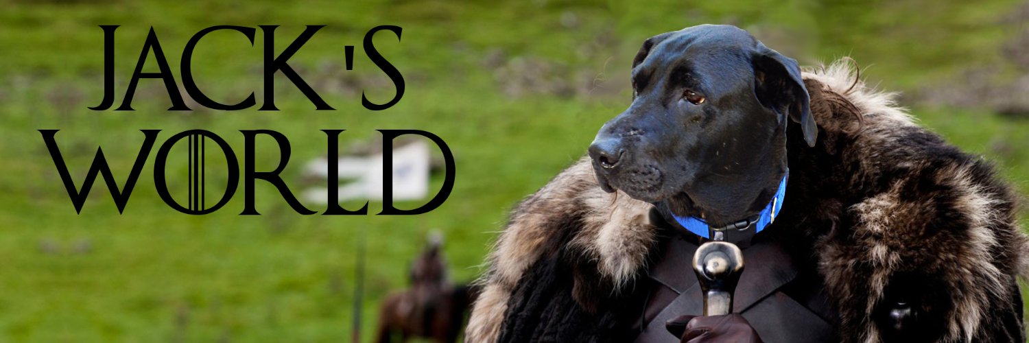 1JackWorld's profile banner image