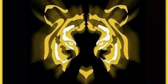 SaulgaticaSg's profile banner image