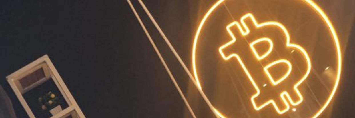 elsapucha's profile banner image