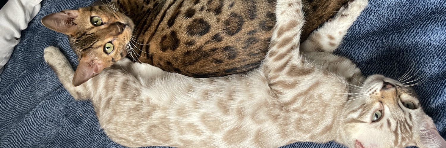 Javo ❛︠ ෴ ︡❛ banner