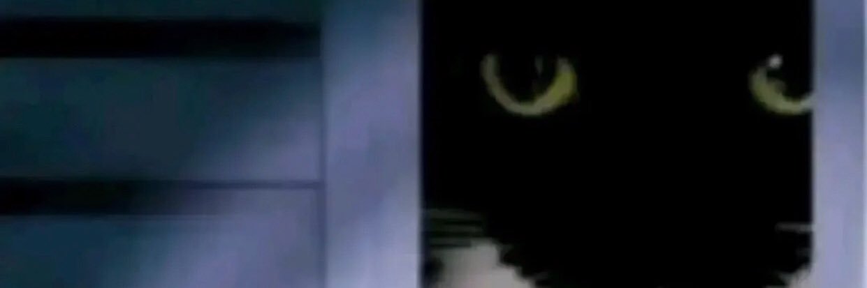 Ivan Ortega-Nguyen banner