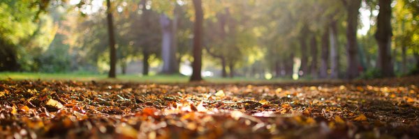 HomeDepot2615 Profile Banner