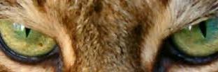 GIM224's profile banner image