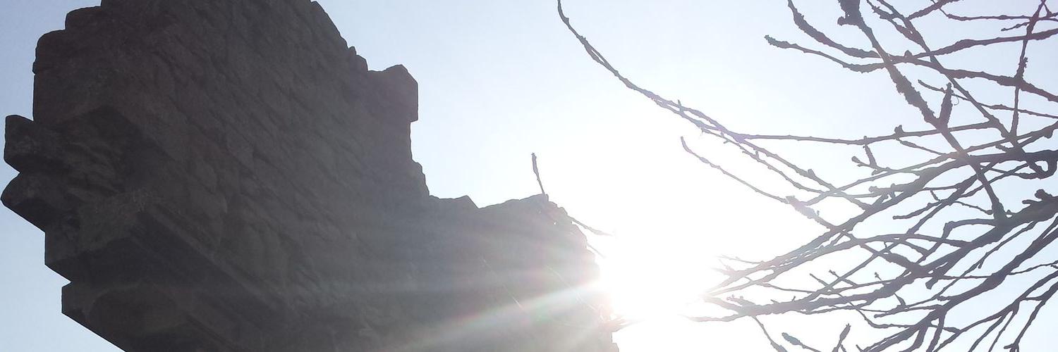 justf33dme's profile banner image