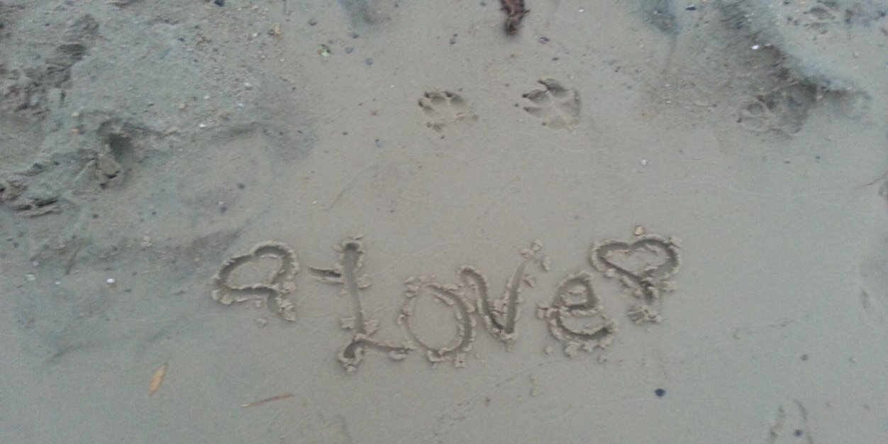 KimberProvost's profile banner image