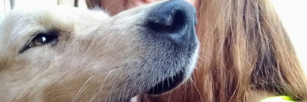 AmpiMagrotti's profile banner image