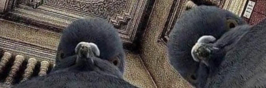 tylergrantham's profile banner image