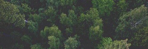 clammygilinsky's profile banner image