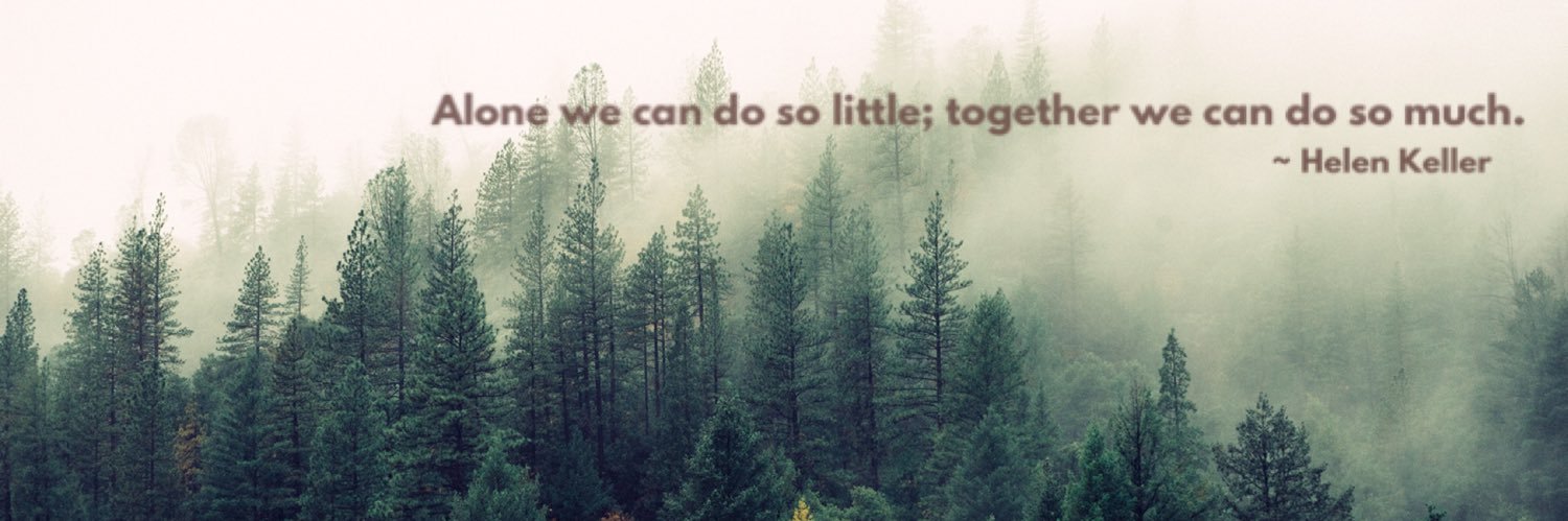 kallyincali's profile banner image