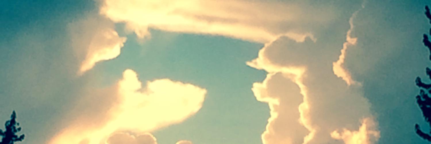 311est's profile banner image