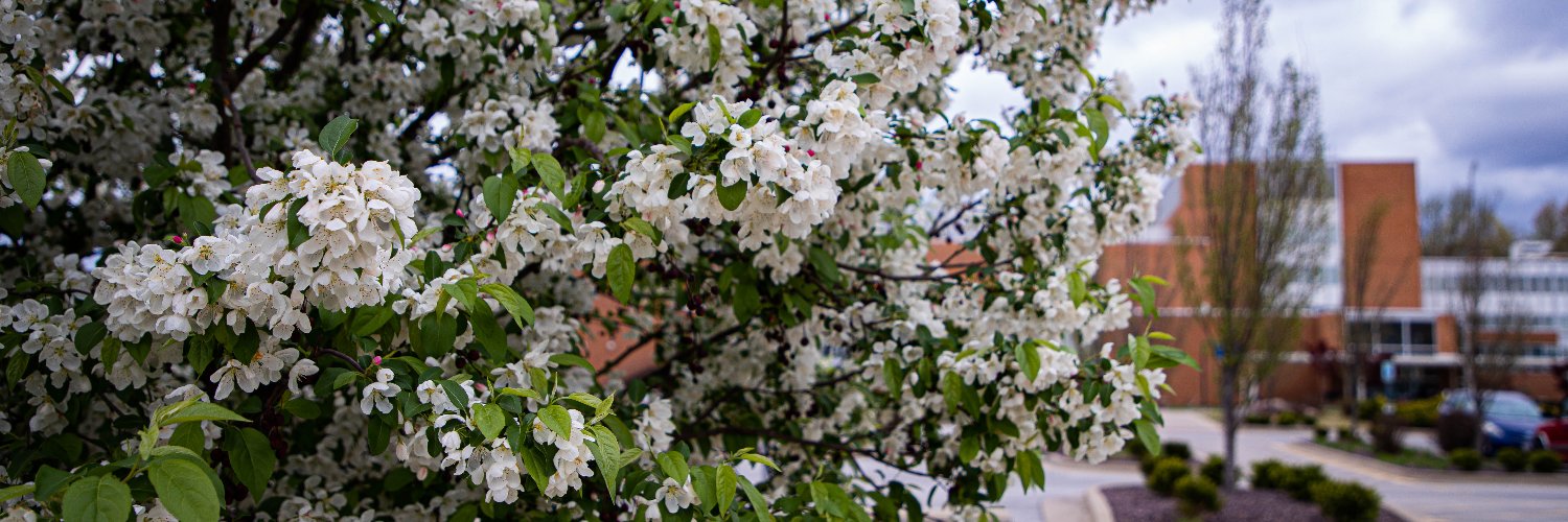SIU Student Center banner
