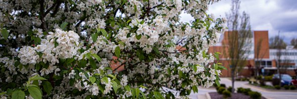 SIUStudentCen Profile Banner