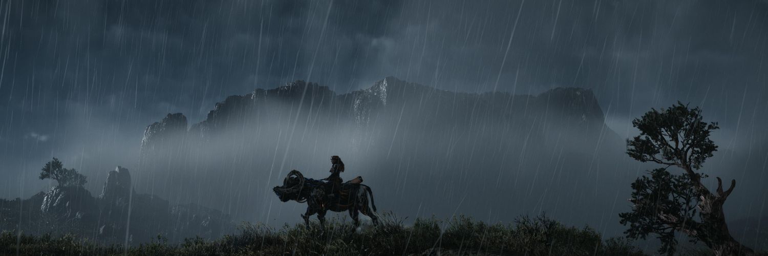 RFXEditor's profile banner image