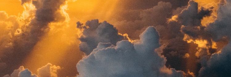sdalton83's profile banner image