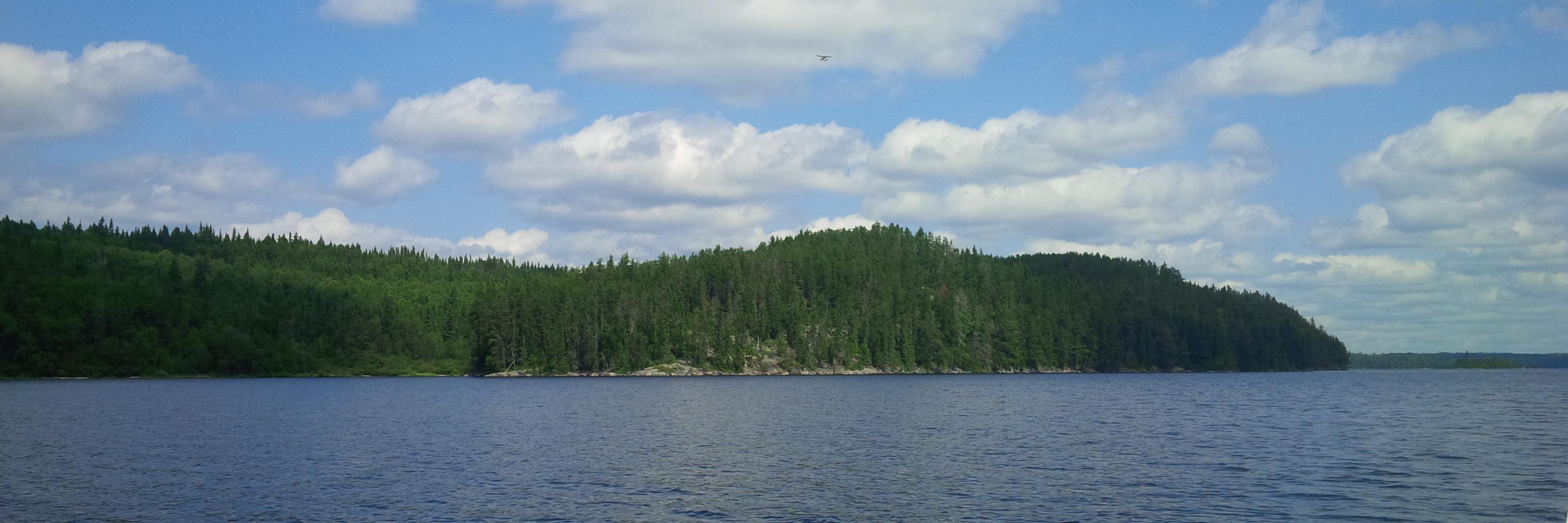 Crystal Sissons banner