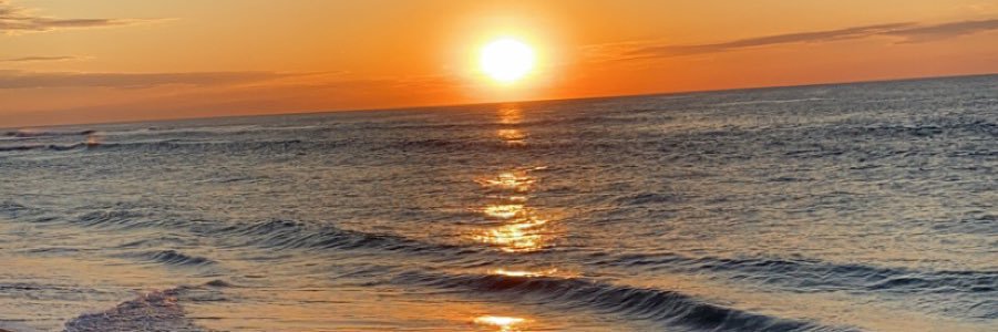 LizzyPacillo's profile banner image