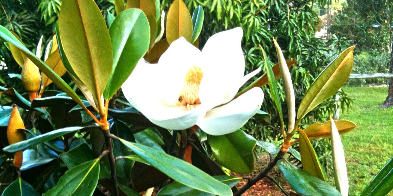 loriarupp's profile banner image