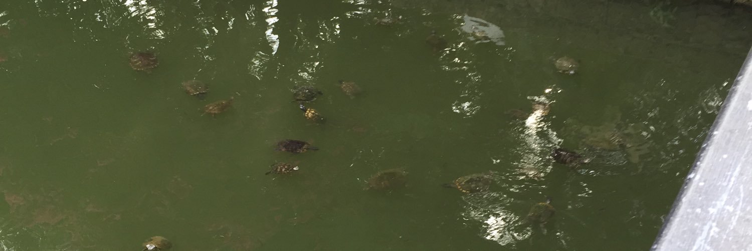 Captain RatAttack banner