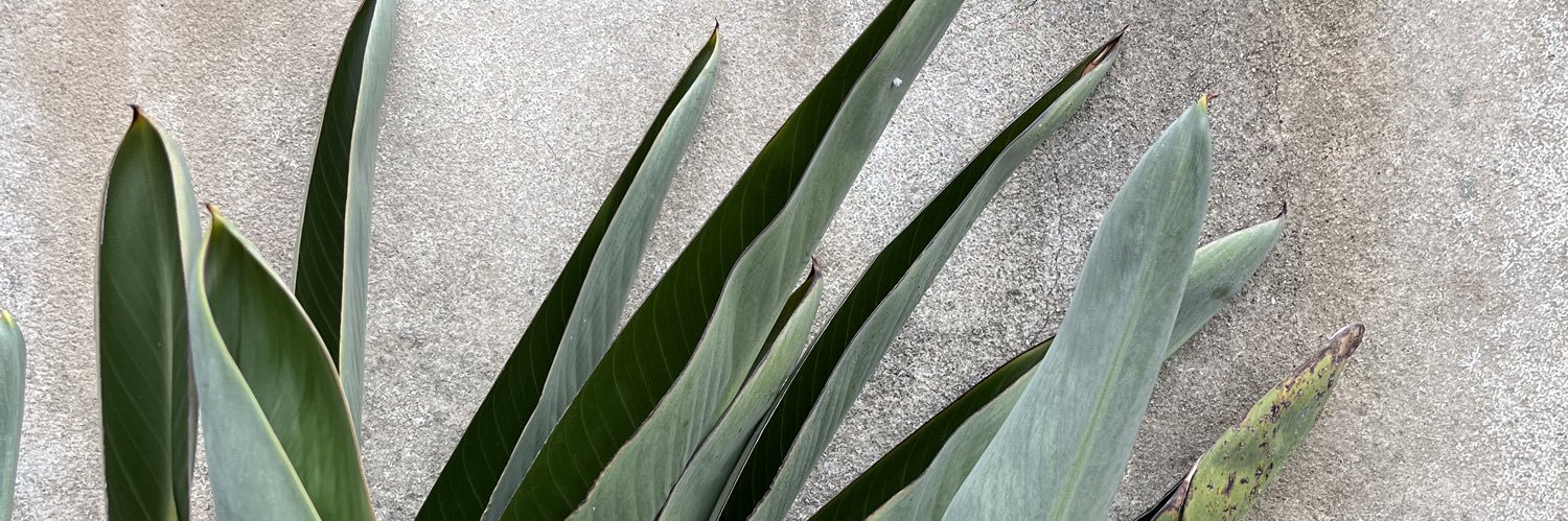 Simon Sales Prado banner