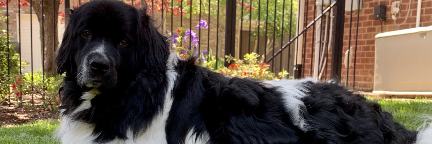 Jessica Daniell (Keefe) banner