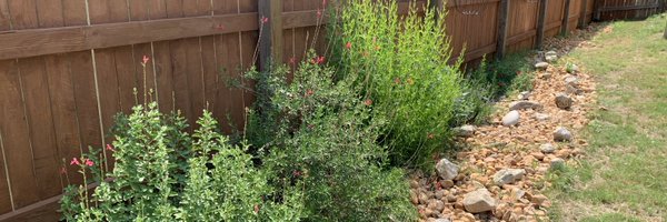 ReadWriteMrsJ Profile Banner