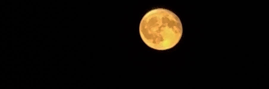 5tarbby's profile banner image