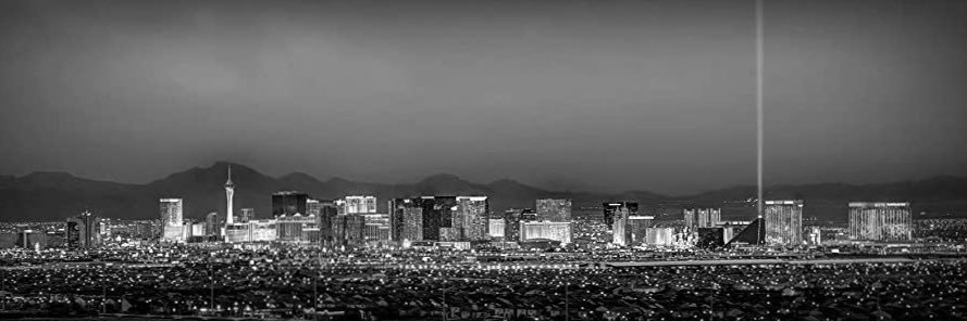 Laurent Brossoit banner